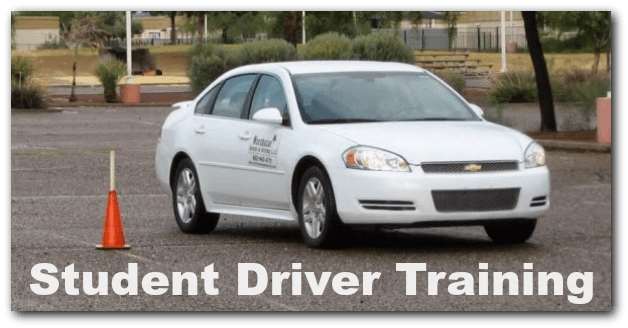 teeneager and student driver training